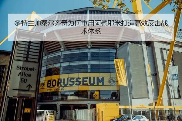 多特主帅泰尔齐奇为何重用阿德耶米打造高效反击战术体系
