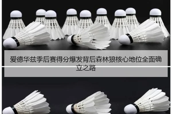 爱德华兹季后赛得分爆发背后森林狼核心地位全面确立之路