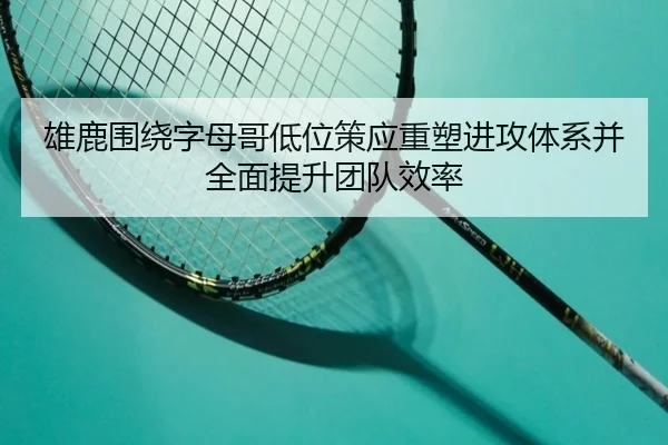 雄鹿围绕字母哥低位策应重塑进攻体系并全面提升团队效率