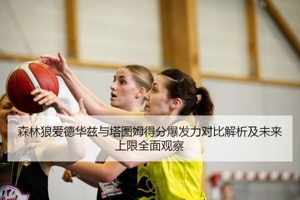 森林狼爱德华兹与塔图姆得分爆发力对比解析及未来上限全面观察