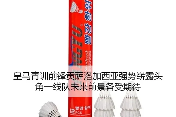 皇马青训前锋贡萨洛加西亚强势崭露头角一线队未来前景备受期待